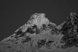 IMG_6545.jpg