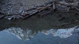 IMG_6590.jpg