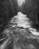 IMG_2651-mono8x10.jpg