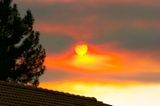 _DSC9323evening setting sun.jpg