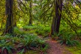 CedarGrove080224.jpg