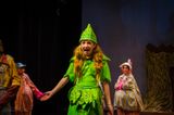 FLMS-Shrek25-52.JPG