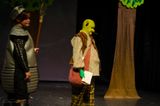 FLMS-Shrek25-78.JPG
