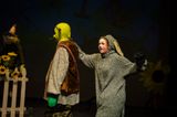 FLMS-Shrek25-203.JPG