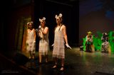 FLMS-Shrek25-270.JPG