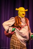 FLMS-Shrek25-342.JPG