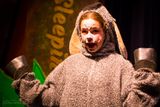 FLMS-Shrek25-429.JPG