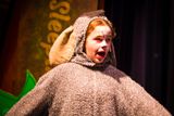 FLMS-Shrek25-430.JPG