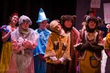 FLMS-Shrek25-485.JPG
