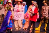 FLMS-Shrek25-499.JPG