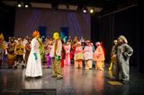 FLMS-Shrek25-527.JPG