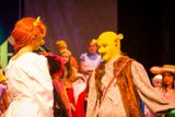 FLMS-Shrek25-535.JPG