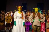 FLMS-Shrek25-539.JPG