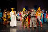 FLMS-Shrek25-542.JPG