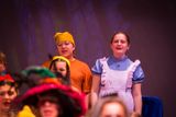 FLMS-Shrek25-570.JPG