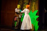 FLMS-Shrek25-607.JPG