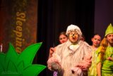 FLMS-Shrek25-626.JPG