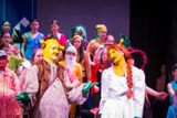 FLMS-Shrek25-627.JPG