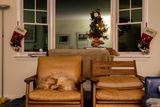 December 18 R7 note a creature was stirring 303a4632 edit  AI-4632.jpg