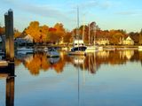 best of PAD Matthewson fall shot-4.jpg