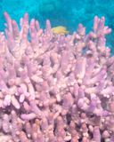 best of travel great barrier reef 2014 10006-.jpg