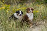 September 29 best  crop 2 nico  brody grass  A7C5323.jpg