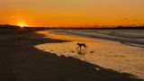 October 16 sunrise dog run  L1725.jpg