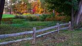 October 21 pano leaf peeping B gulfcourse  L1999.jpg
