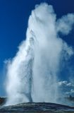 Old Faithful