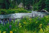 Deschutes River