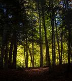 _A7R0466.jpg