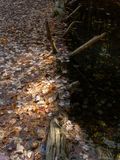 _A7R0467.jpg