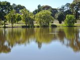 Lake in Princes Park