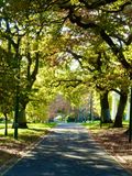 The Fitzroy Gardens, Melbourne