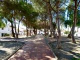 Town Park