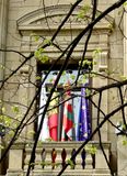 Window