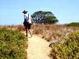 Walking across Griffiths Island