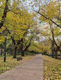 Bendigo, walking path in the Rosalind Gardens
