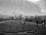 manicured hills Valparai_DSF6092.jpg