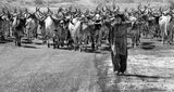 Bhuj countryside_DSF3733.jpg