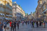 Viena