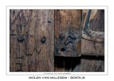 014 Hout met een ziel