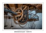 081 Riemschijven