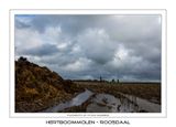 001 De molen in het landschap