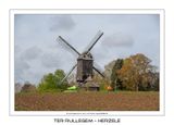 074 De windmolen met rosmolen