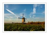 001 Prachtig molenlandschap