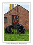 106 Kettingen aanpassen