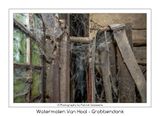 061 Verstilde schoonheid
