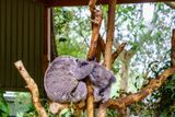 Featherdale Sydney Wildlife Park