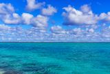 A7R02335.jpg